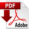 pdf icon